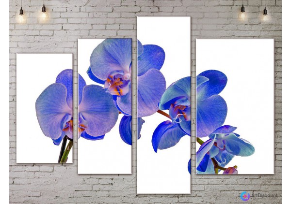 Модульные картины цветы Ветка Орхидеи AFLW4_0177