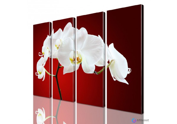 Модульные картины цветы Орхидея AFLW4_0212