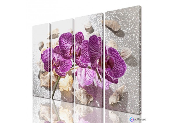 Модульные картины цветы Орхидея AFLW4_0216