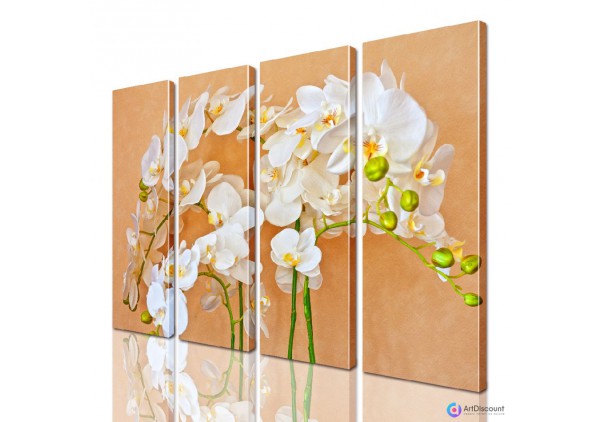 Модульные картины цветы Орхидея AFLW4_0234