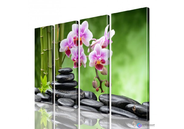 Модульные картины цветы Орхидея на Камнях AFLW4_0238