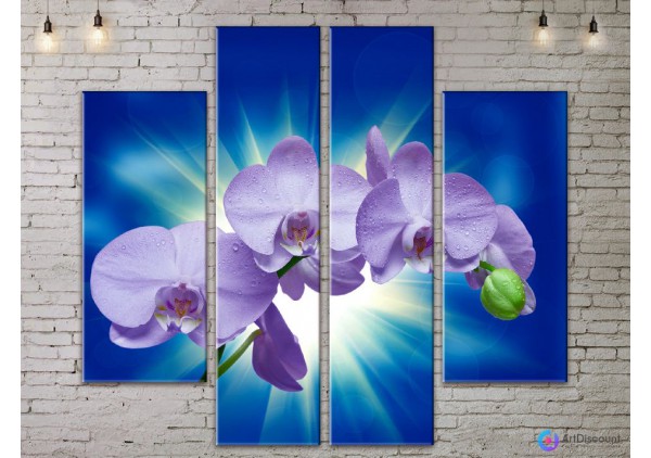 Модульные картины цветы Орхидея AFLW4_0263