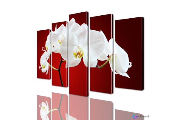 Модульные картины цветы Орхидея AFLW5_0014