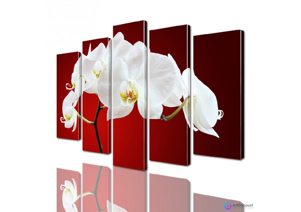 Модульные картины цветы Орхидея AFLW5_0014
