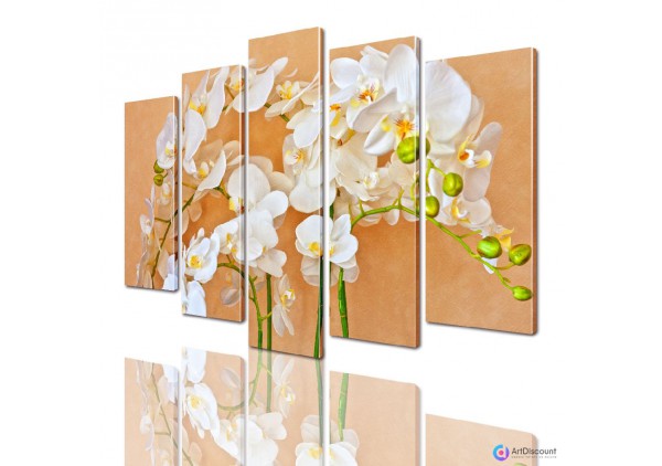 Модульные картины цветы Орхидеи AFLW5_0030
