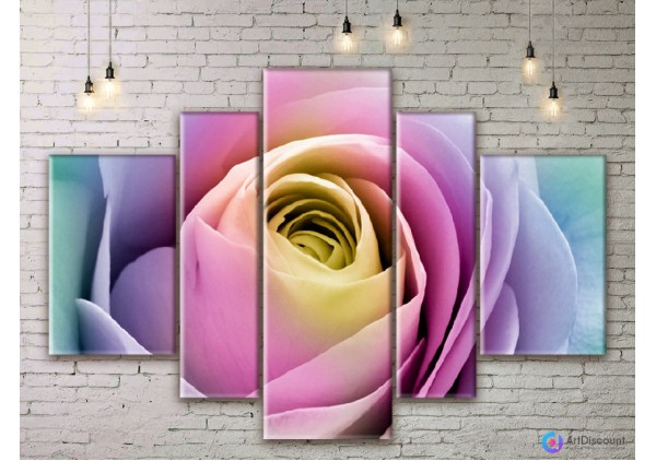 Модульные картины цветы Разноцветная Роза AFLW5_0077