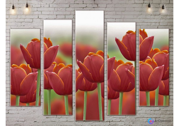 Модульные картины цветы Тюльпаны AFLW5_0079