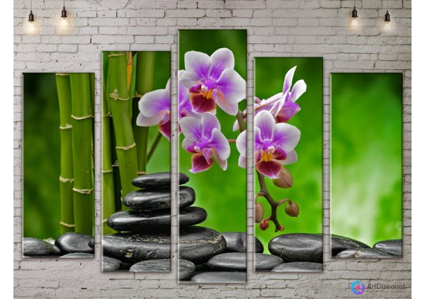 Модульные картины цветы Орхидея Камни AFLW5_0131